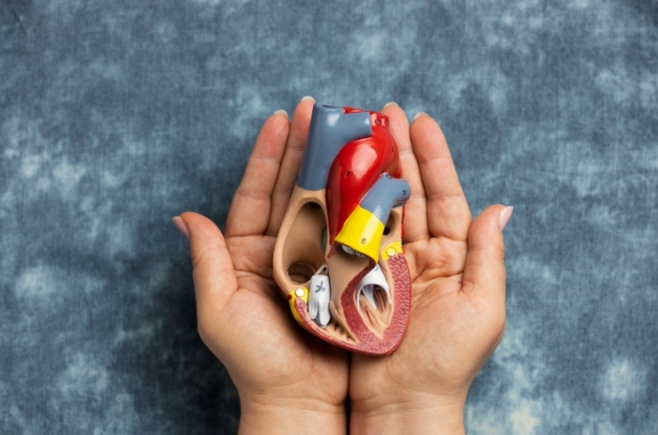 Liver, Gallbladder & Colon Cancer Care